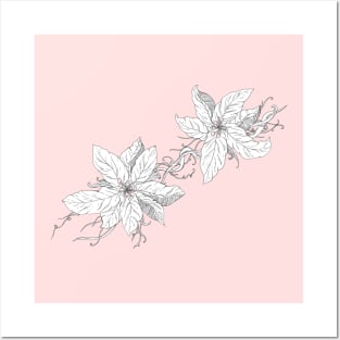 Lined Petals Posters and Art